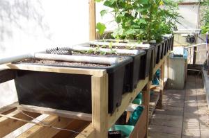 All 10 grow beds finished %28Medium%29