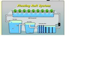 sistem floating raft